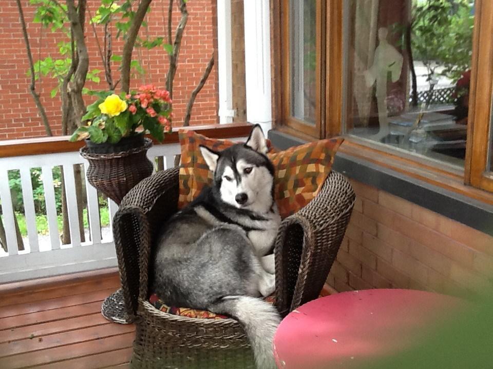 Bed and Breakfast Aux Annees Folles Québec Zewnętrze zdjęcie